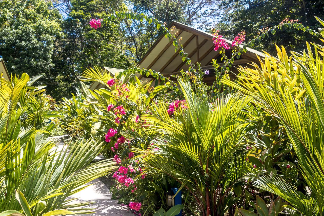 Relax Natural Village Adults Only Puerto Viejo de Talamanca Exterior photo